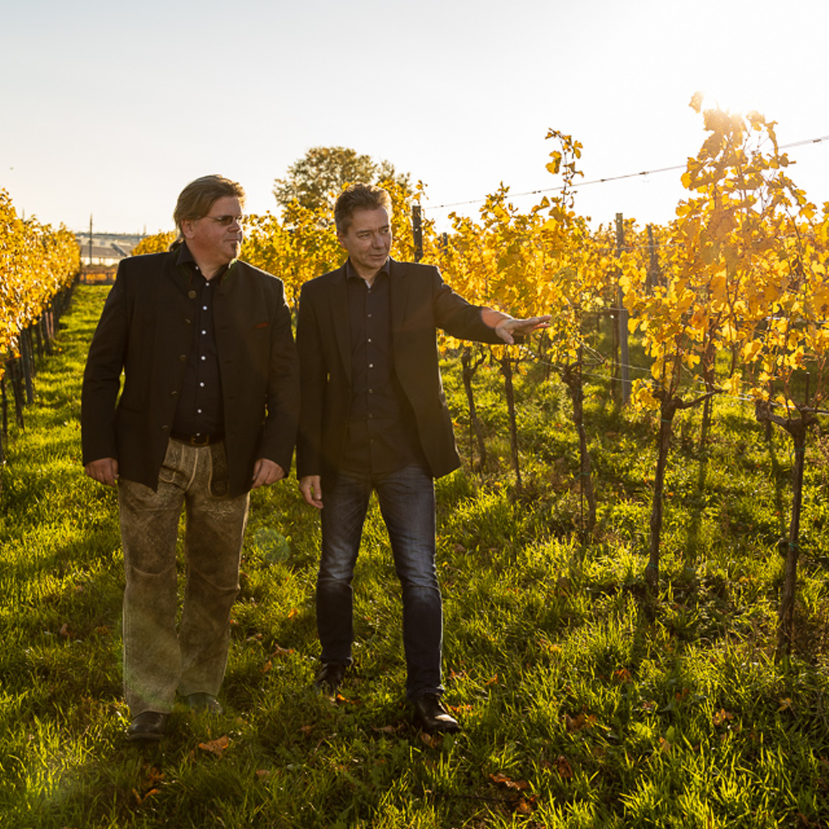 Karl Huber und Hannes Spitzer gehen durch Rieden und Lagen im Weingut Huber Spitzer Schranawand Thermenregion